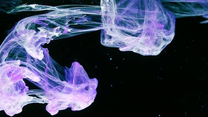 Wall Mural - Color Liquid in dynamic flow.
