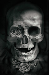 Poster - Vertical illustration of a human skull on a black background