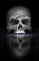 Sticker - Vertical illustration of a human skull on a black background