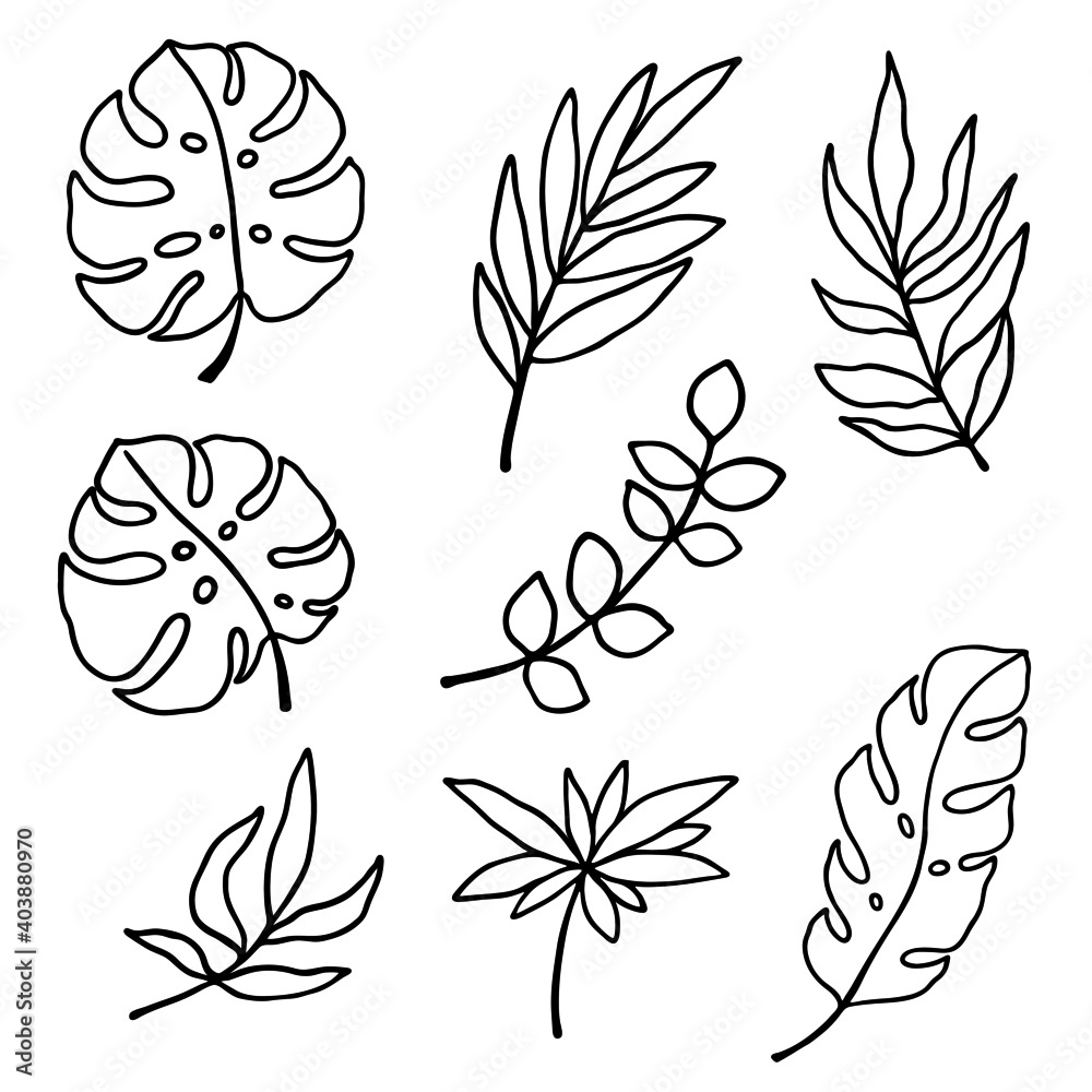 Vector illustration, set of drawings of tropical leaves, stencil template, isolate on a white background Stock Vector | Adobe Stock vector-illustration-set-of-drawings-of-tropical-leaves-stencil-template-isolate-on-a-white-background-stock-vector-adobe-stock