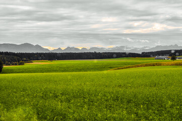 Sticker - Beautiful shot of a green field on a cloudy day