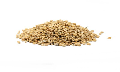 Wall Mural - wheat grains isolated on white background. 