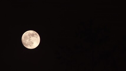 Wall Mural - black night sky and full moon scenic