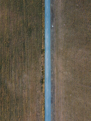 Wall Mural - Aerial shot of the long highway surrounded by fields in Portugal