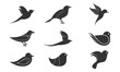 Bird animal set illustration vector