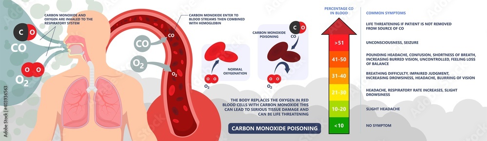 CO level chest pain loss of consciousness gas death cherry red skin ...