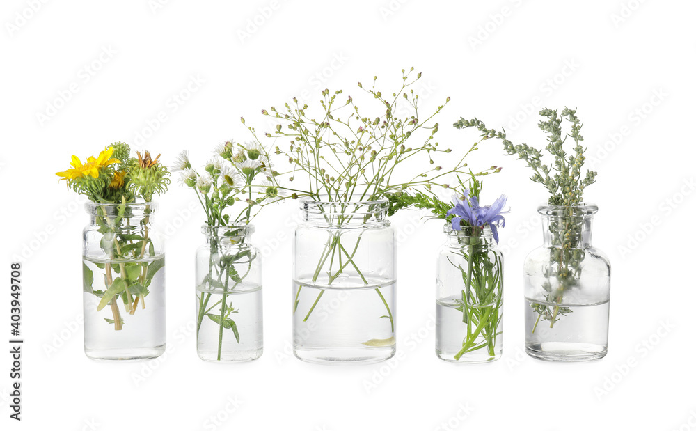 Bottles with herbs on white background