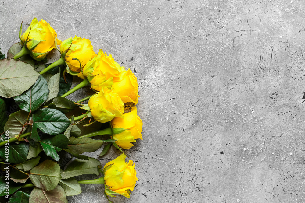 Beautiful yellow roses on grey background