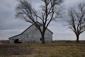 Canvas Print - Metal Barn in a Field