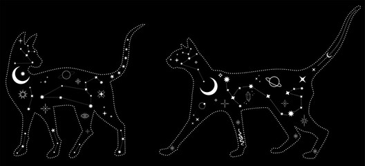 Wall Mural - Set of black magical cats, Mystic Sphynx cat with crescent moon esoteric symbol, constellation, stars and magical elements. Magical cat,witchy black cat