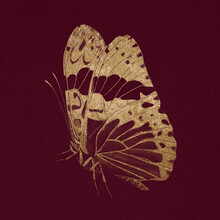Glittery Gold Butterfly Vintage Animal Illustration