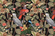 Bird Pattern Background Jungle Illustration