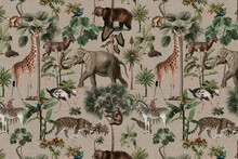 Jungle Pattern Background Wild Animals Illustration
