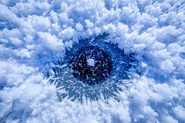 Canvas Print - frozen puddle close up