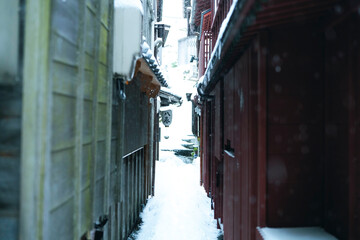 Wall Mural - A snow day in Kanazawa, 2021.