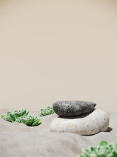 Minimal Mockup Background For Product Presentation. Stone Podium And Green Echeveria Succulent Plant On Sand Beach. 3d Rendering Illustration. Clipping Path Of Each Element Included.