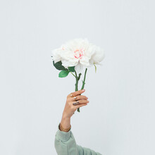 Hand In Costume Jewelry Holding Flowers On White Wall Background. Spring Summer Fashion Concept. Still Life Minimal