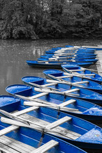 Blue Rowing Boat