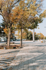 Wall Mural - City autumn park in good sunny weather