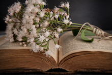 A Very Old Open Book With A Bouquet Of Fresh Wild Flowers Tied With A Rustic Thread And Lying On Top Of Written Pages. Front Angle View Of Subject. Literature, Nostalgia Or Wisdom Concepts