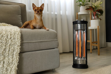 Sticker - Chihuahua on sofa near modern electric halogen heater in living room