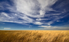 Sitting All Alone On The Plains Of Western Kansas