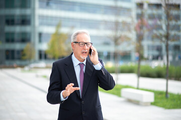 Canvas Print - Senior businessman talking on the phone