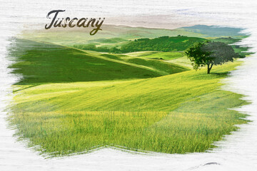 Sticker - Green fields and lonely tree in Tuscany, watercolor painting