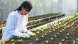 The female botanist, geneticist, or scientist is working in greenhouses full of plants.
