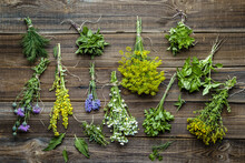 Assorted Herbs From The Garden On Wooden Table. Fresh Herb On Wood, Top View