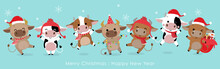 Merry Christmas And Happy New Year 2021. The Year Of The Ox. The Male Cows And Bulls Wear Red Winter Costume. Animal Holidays Cartoon Character. -Vector