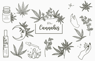 Wall Mural - cannabis collection with bottle,oil,hand.Vector illustration for icon,sticker,printable