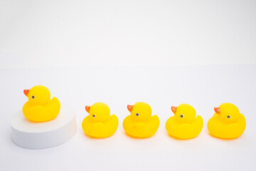 concept of leadership and teamwork. a group of yellow ducks listening to their leader, isolated on w