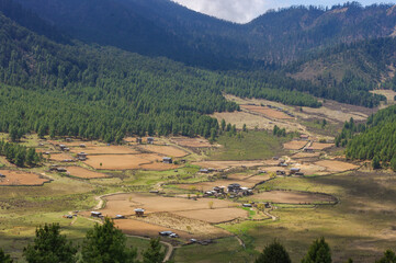 Wall Mural - Scenic landscape view of the beautiful rural high Phobjikha valley in Central Bhutan with fields and forest