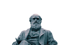 Statue Of Charles Darwin Isolated On A White Background.  With Colour Toning