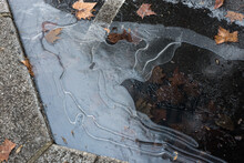 Closeup Of Frozen Puddle With Maple Leaves In The Street