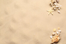 Flat Lay Composition With Seashells On Sand Beach, Space For Text. Summer Vacation