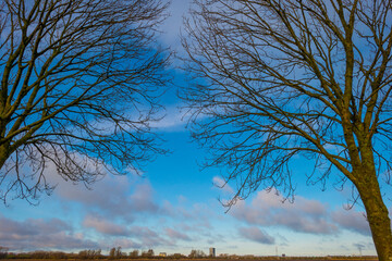 Highrise of a city along a muddy agricultural field under a blue cloudy sky in winter, Almere, Flevoland, The Netherlands, January 7, 2021
