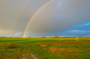 Double rainbow and yellow grey rain clouds over a windy rainy green meadow in bright sunlight in winter, Leeuwarden, Friesland, The Netherlands, January 9, 2021