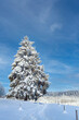 Beautiful wintry landscape with a lot of snow and nice weather
