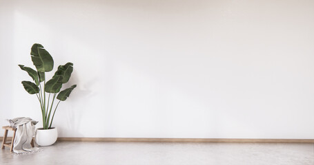 Interior with plants on empty wall background,3D rendering