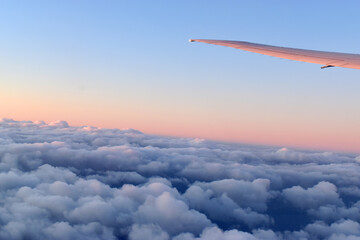 Aircraft wing above cloudscraper with horizon of pink and blue sky,view from airplane window.