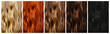 Set of different natural hair color samples.