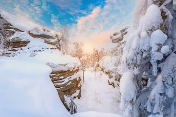 Wall Mural - landscape with purple flowers, mountains, forest and snow cover. ural, russia