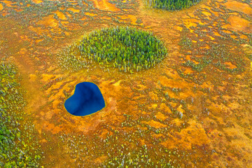 Wall Mural - Autumn landscape. West Siberian Plain. Aerial view. Endless forests and swamps of Siberia.