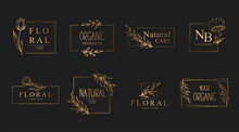Vector Collection Of Gold Floral Logo Or Emblem Templates With Hand Drawn Branches And Flowers Isolated On Black Background. Natural Organic Design Concept With Square Frames And Borders