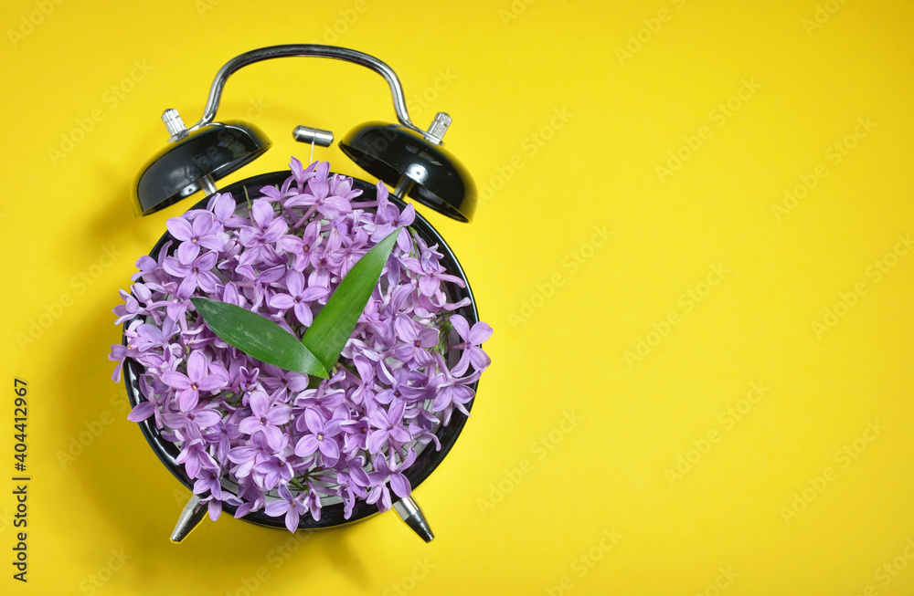 Purple Flowers On Alarm Clock Over Yellow Background - obrazy, fototapety, plakaty 