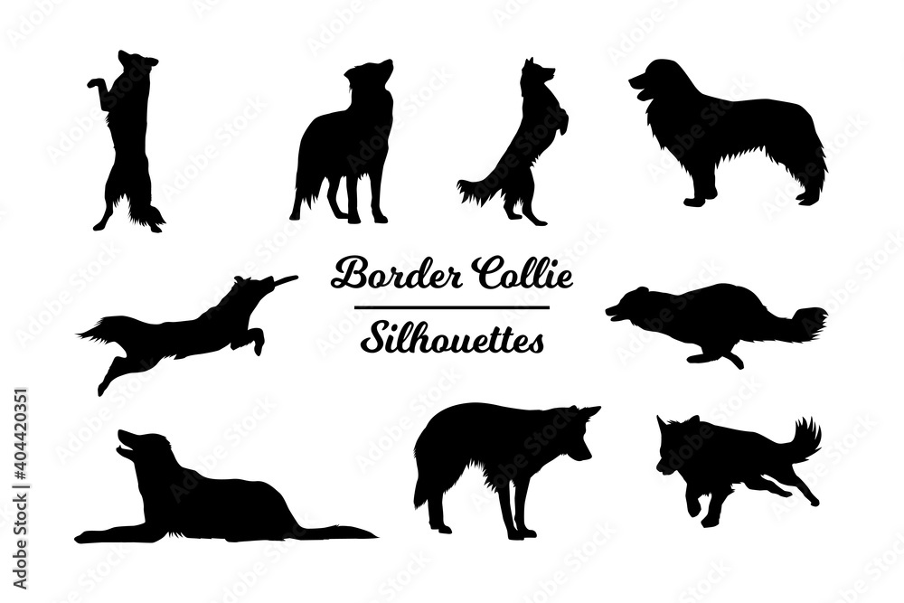 border collie silhouette template