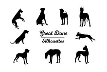 Great Dane Silhouettes. Black And White Outline