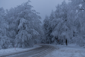 Winter Hiking in different places through the Thuringian Forest - Germany